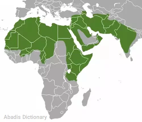 کفتار راه راه